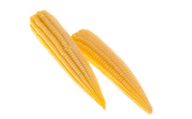 pickled corn cob