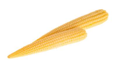 pickled corn cob isolated