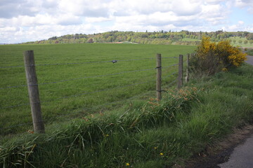 Fototapeta na wymiar Countryside landscape around Aberlemno - Forfar - Angus - Scotland - UK