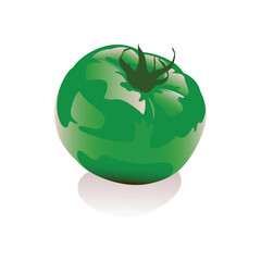 green tomato illustration vector, 3D tomato creative design. isolated on white background.