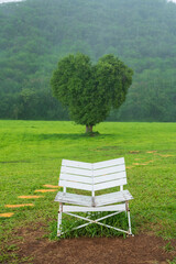 Fototapeta premium White chair and beautiful tree with heart shape and heavy raindrop