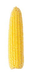 cob corn