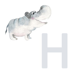 Letter H, hippo, cute kids colorful animals ABC alphabet. Watercolor illustration isolated on white background.