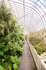 DUBLIN, IRELAND - AUGUST 4, 2022: Wide Angle View of the interior of a glasshouse of The National Botanic Gardens in Dublin, Ireland in a sunny day with blue sky.