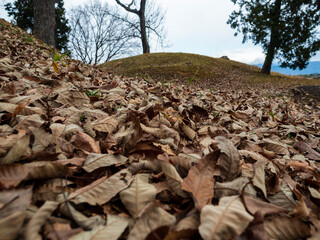 枯れ葉の向こうに古墳が見える