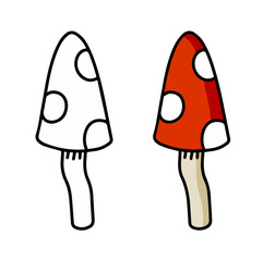 Poisonous mushroom. Fly agaric with red cap.