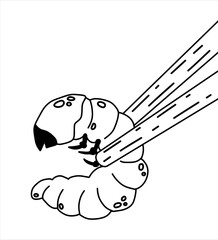 Edible larva. Eating caterpillar with chopsticks. Asian snack and street fast food. Source of insect protein