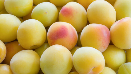 紀州産　南高梅
