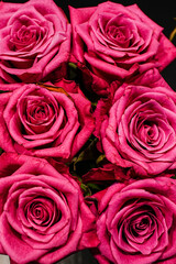 red roses background