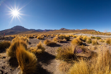 Atacama Desert Vista with Bright Sun
