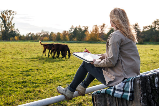 Woman artist drawing sketch of horse outdoors. Illustrator with sketchbook