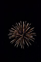 Obraz premium fireworks in the night sky