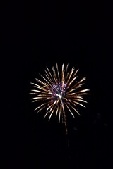 Fototapeta premium fireworks in the night sky
