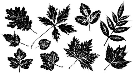 Tropical leaves. Textured ink brush drawing
