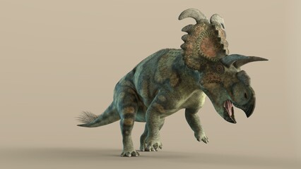 3d-illustration of an isolated extincted dinosaur albertaceratops