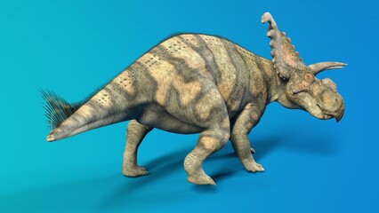 Fototapeta premium 3d-illustration of an isolated extincted dinosaur albertaceratops