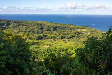 Fototapeta na wymiar Hawaii von oben, Grün mit Meerblick und blauem Himmel 