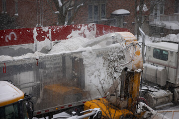 Souffleuse,  d&eacute;tail du bec.