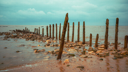 wooden fence