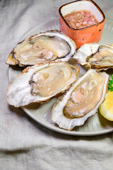 Eating of fresh big raw Zeeuwse Creuse Dutch oysters from Zeeland, Netherlands