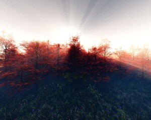 Beautiful edge of the forest in the morning in the fog, autumn trees in the sun, 3d rendering