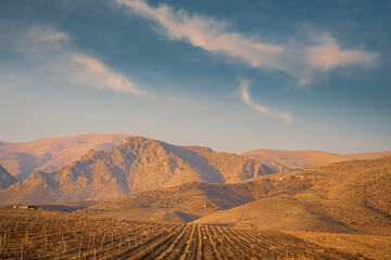 Stunning view of the Caucasus mountains and vineyards during a winter sunset with a blue sky