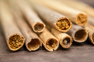 Osmia rufa, Mason bee nesting reeds close-up, harvesting