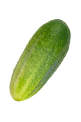 Fresh organic cucumber isolated on white background.The concept of environmentally friendly products, agriculture.