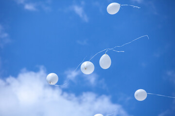 Balloons in the blue sky