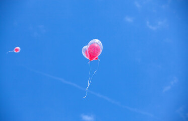 Balloons in the blue sky