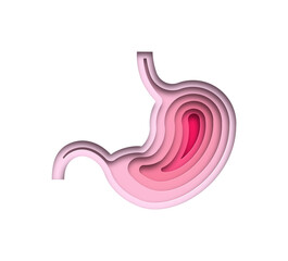 Realistic 3D paper cut human stomach illustration. Layered colorful digestive organ for medicine, gastric disease or food diet concept.