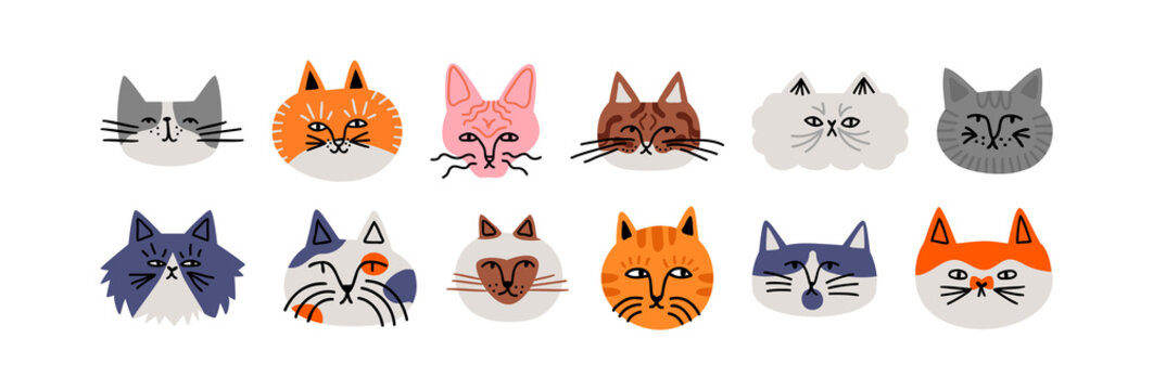 Funny cat animal head cartoon set in modern flat illustration style. Cute kitten pet collection, diverse breeds - domestic cats bundle.	