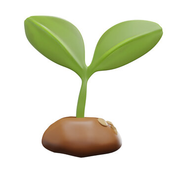 plant 3d icon flat style no background leaf