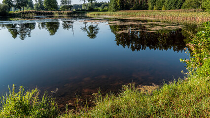 Fototapeta premium View of the lake in the forest on a sunnz,summer daz in Podlasie ,Poland