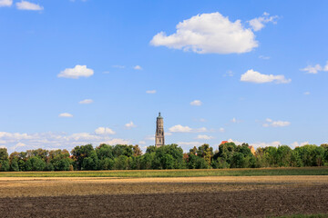 Obraz premium the steeple of the Evangelical Lutheran parish church in the center of the city of Noerdlingen is the landmark of the city and is popularly called Daniel