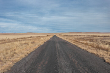 Empty paved road cutting through open yellow pastures with clear sky in rural New Mexico
