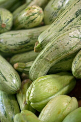 Zucchini heap closeup for sale at open market in Sao Paulo city, Brazil