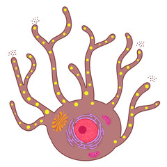 Melanocytes are specialized cells that produce melanin pigments. - obrazy, fototapety, plakaty