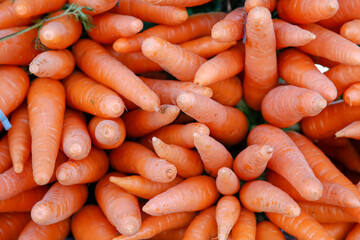 Carrot heap closeup for sale at open air market in Sao Paulo city, Brazil