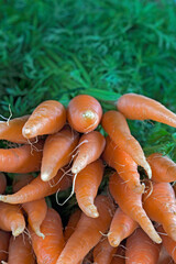 Carrot heap closeup for sale at open air market in Sao Paulo city, Brazil