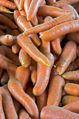 Carrot heap closeup for sale at open air market in Sao Paulo city, Brazil