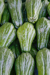 Detail of pile of mirliton squash or chayote for sale at open market in Sao Paulo city, Brazil