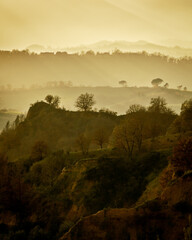 Valdarno golden view