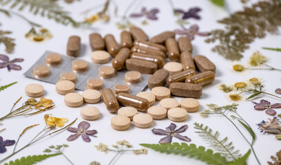 Medicinal capsules with dried medicinal herbs on white background. Herbal medicine, homeopathy, alternative medicine, organic pharmacy concept. Naturopathy and dietary supplement