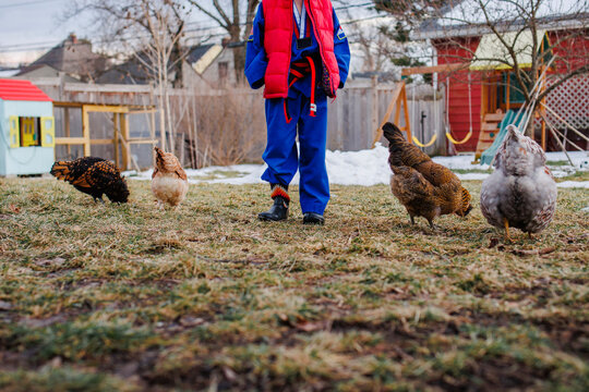 Bottom-half of child in Taekwondo uniform with chickens in yard