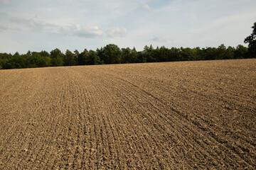 Landschaft, gepflügtes Feld endet am Waldrand, rand mit  Mais bei Bewölkung und blauen Himmel, ...