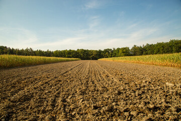 Fototapeta na wymiar Landschaft, gepflügtes Feld endet am Waldrand, rand mit Mais bei Bewölkung und blauen Himmel, in Deutschland Baden Württemberg, Stuttgart