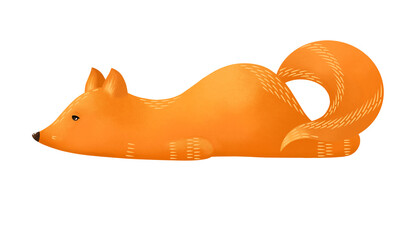 Lovely lazy fox. Fox isolated on a white background