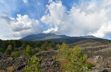 Etna volcano, smoking volcano, lava with growing vegetation, surrounding nature, Sicily, Italy,...