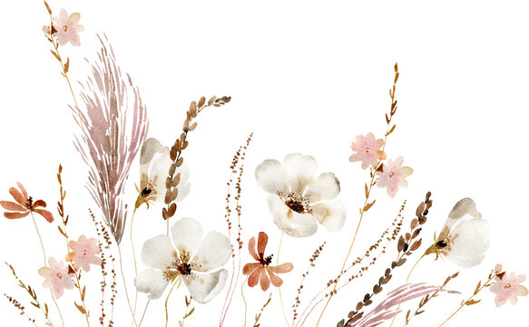 Watercolor beige wildflowers boho bouquet. Dried herbs, grass floral border, elegant arrangement. Botanical boho elements isolated on white. Wedding invitation, greeting, card, printing, design